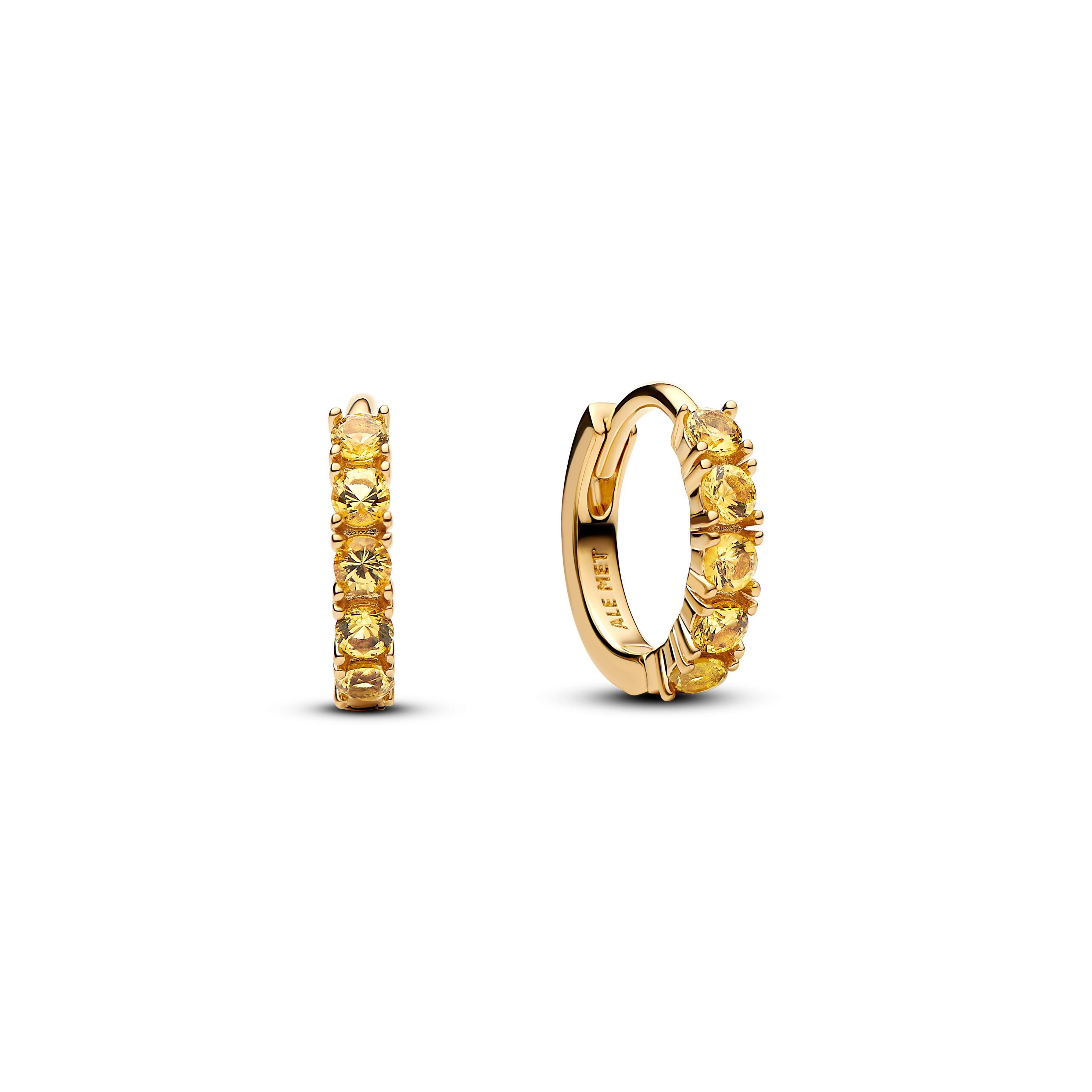 Pandora Timeless Creolen 263849C01