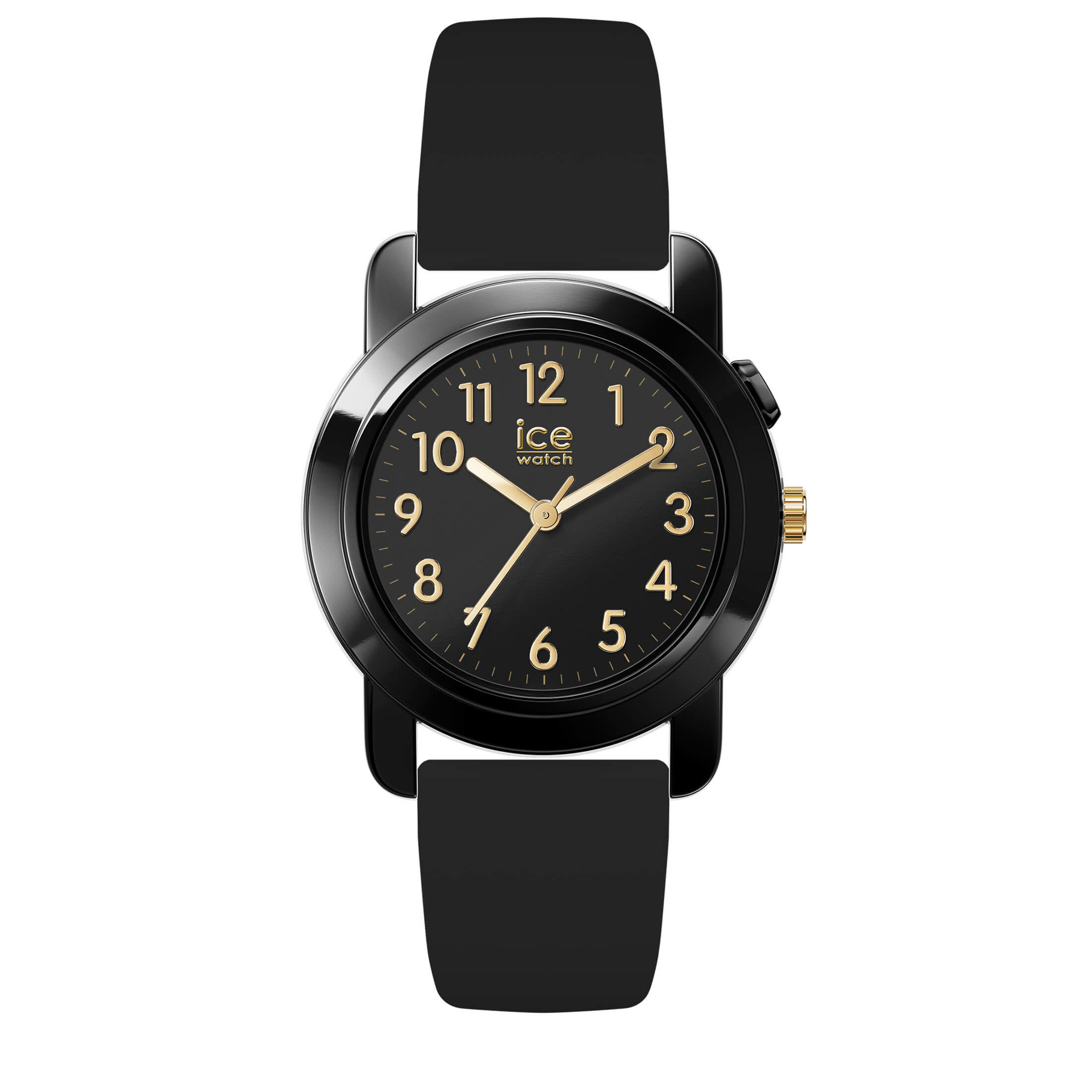ICE Watch Find My 024917