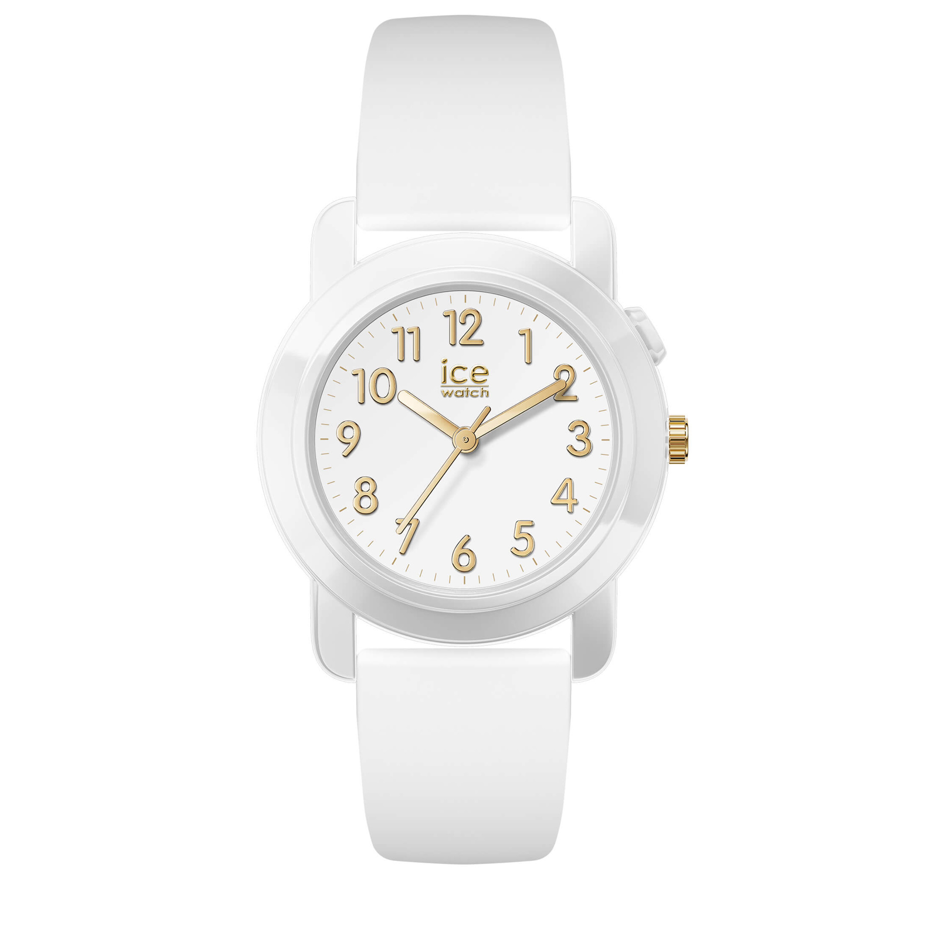 ICE Watch Find My 024916