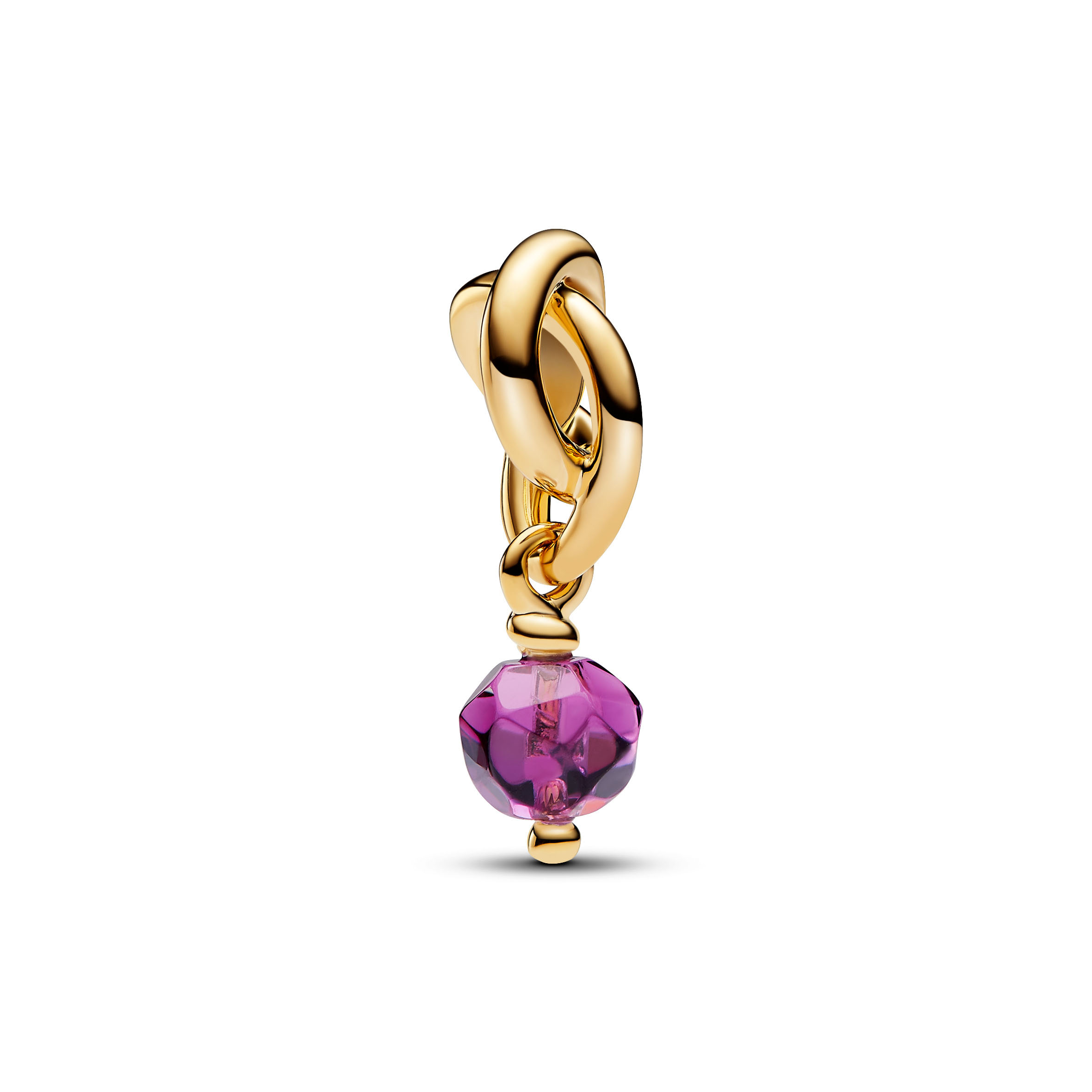 Pandora Moments Facettierter violetter Eternity-Kreis -Februar- Charm-Anhänger 763462C02